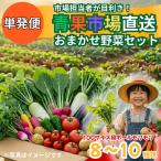 野菜 市場直送 おまかせ野菜セット