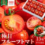 フルーツトマト 糖度9度~11度 15粒