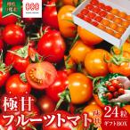 濃厚フルーツトマト 糖度9度~11度 24粒 食べ比べ