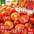 濃厚フルーツトマト 1kg