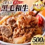 牛肉 くまもと黒毛和牛 切り落とし 500g