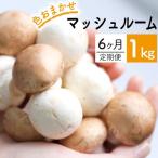 八幡平マッシュルーム 1kg
