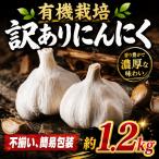 にんにく 有機栽培 約 1.2kg
