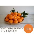 木成り完熟温州みかんミックスサイズ10kg