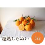 超熟しらぬい 5kg