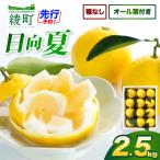 初春の旬 日向夏 種なし オール葉付き 2.5kg