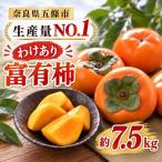 わけあり 富有柿 約 7.5kg