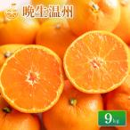 中島産 晩生温州 約9kg