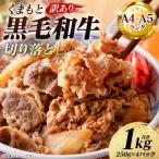 牛肉 くまもと黒毛和牛 切り落とし 1kg