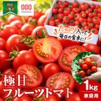 濃厚フルーツトマト 1kg