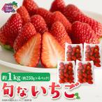 旬ないちご品種おまかせ 約250g×4パック
