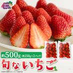 旬ないちご品種おまかせ 約250g×2パック