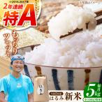 新米 はるみ 5kg