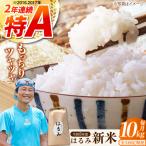 新米 はるみ 10kg