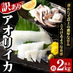 訳あり アオリイカ 約2kg以上