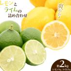 レモンとライム 詰め合わせ 約2kg