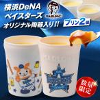 横浜DeNAベイスターズ陶器入りカスタードプリン 180g