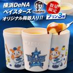 横浜DeNAベイスターズ陶器入りカスタードプリン 180g