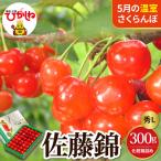 2027年産 温室 さくらんぼ 佐藤錦 秀L 300g