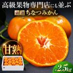 厳選 ちなつみかん 温州ミカン 約2.5kg
