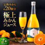 こだわりのちなつみかん 100% ジュース 720ml×2本