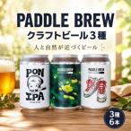 クラフトビール 3種