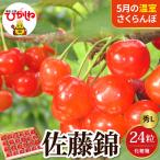 2027年産 温室 さくらんぼ 佐藤錦 秀L 24粒