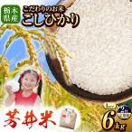 令和8年度産 新米 産芳井米 3kg×2