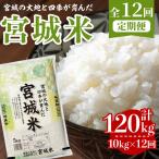 宮城米 計120kg