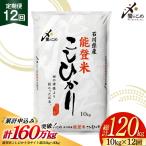 米 定期便 能登米 こしひかり 10kg
