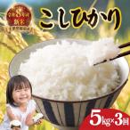 白米 こしひかり 精米 ブランド米 定期便