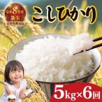 コシヒカリ 5kg×6ヶ月_tkg005