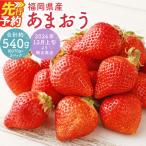あまおう 合計約540g 約270g×2パック