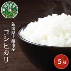 米 コシヒカリ 新之助 セット 5kg