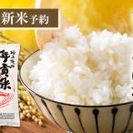 ひとめぼれ 令和8年度産 精米2合 300g