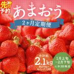 あまおう 約1kg