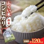 令和8年産 コシヒカリ10kg