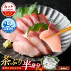 ブリカマ付 茶ぶり スキンレスロイン 片身分