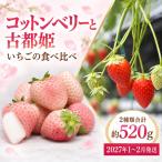 いちご コットンベリー 古都姫の詰め合わせ