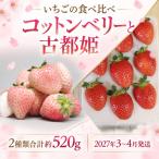 コットンベリー 古都姫の詰め合わせ 2027年3~