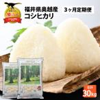 コシヒカリ 定期便 玄米 30kg
