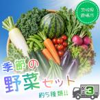 野菜定期便 3回 野菜セット