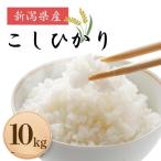 米 コメ お米 おこめ こしひかり 精米 白米 10kg