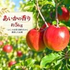 りんご 令和8年 幻のりんご あいかの香り 約5キロ