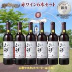 日本ワインコンクール入賞 ワイン 赤 6本 セット