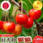 2027年産 GI 東根 さくらんぼ 紅秀峰 360g
