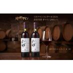 日本ワインコンクール入賞 ワイン 赤 2本 セット