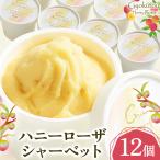 菓子 アイス ぎょくとうセレクト アイスアソートセット 12個
