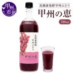 乳酸菌発酵甲州ぶどう 甲州の恵 720ml×1本