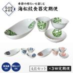 S026-T03_ 海松紋食器4点セット